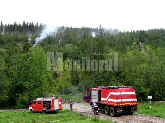 Simulare: Impresionantă desfăşurare de forţe, la stingerea unui incendiu de pădure