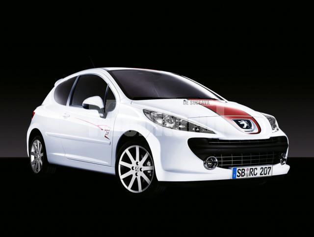 Peugeot 207 Le Mans Series 2008