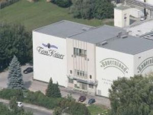 Investiţie: Austriecii vor să construiască o fabrică de cartofi precongelaţi la Suceava