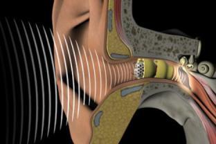 Terapia genetică, o metodă pentru ameliorarea auzului