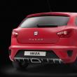 Seat Ibiza Cupra 2009