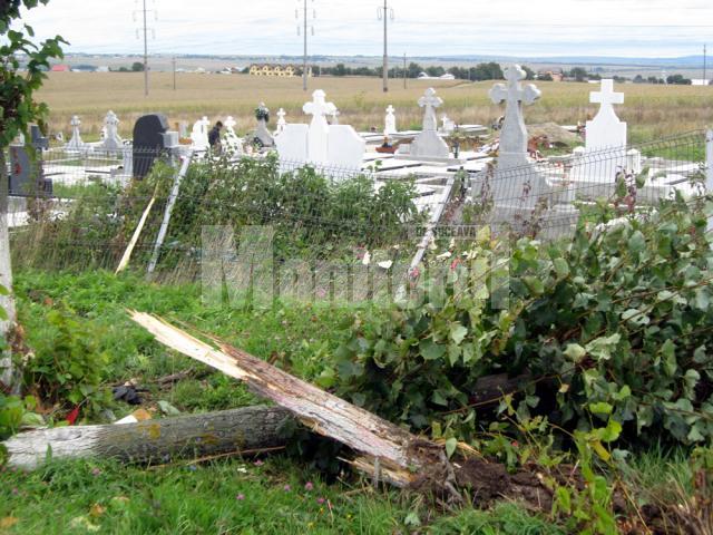 Gardul cimitirului Pacea, stricat pe o porţiune de 10 metri