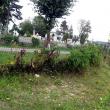 Gardul cimitirului Pacea, stricat pe o porţiune de 10 metri