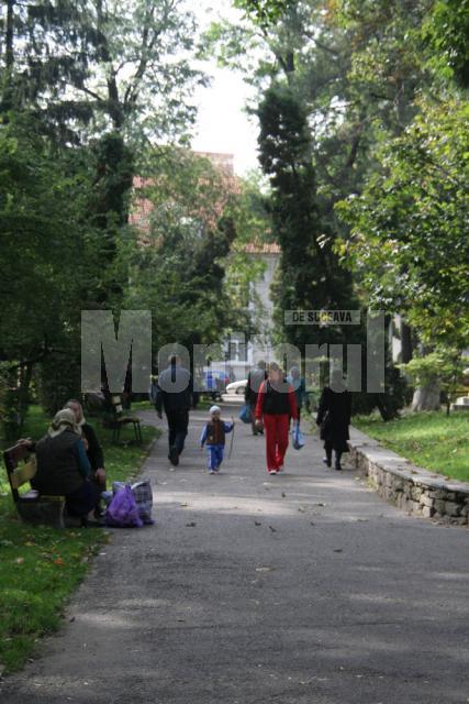 Promisiune: Trei-patru arbori, preţul “verde” al modernizării Parcului Central