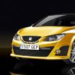 Seat Ibiza Cupra 2009