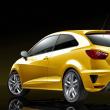 Seat Ibiza Cupra 2009