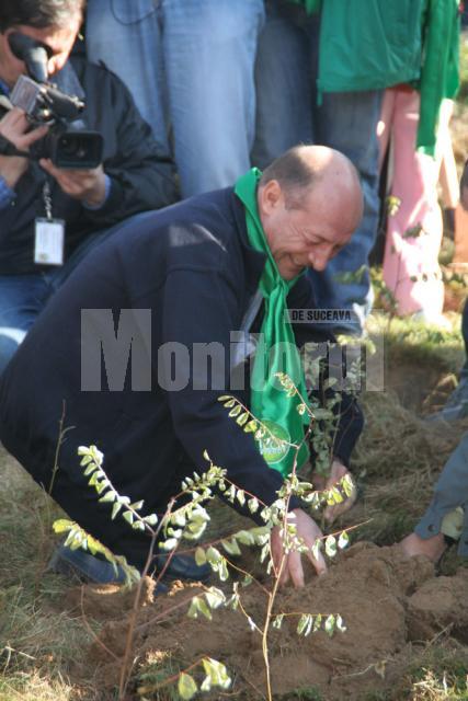 Preşedintele Băsescu plantând un salcâm