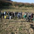 Voluntari care au participat la acţiunea de împădurire a unui deal din Udeşti