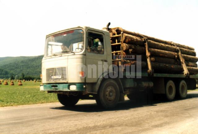 În tot judeţul: Amplă acţiune de control pe linie silvică, în trafic şi la gatere