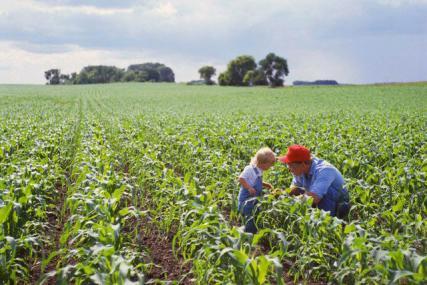 Condiţiile de obţinere a primei pentru tinerii agricultori sunt greu de îndeplinit. Foto: CORBIS