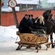 Ospitalitate: Udrea, plimbată cu sania trasă de cai la Voroneţ