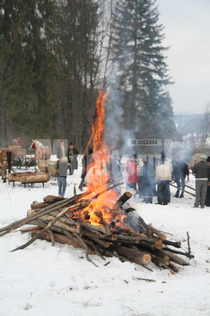 Ospitalitate: Udrea, plimbată cu sania trasă de cai la Voroneţ