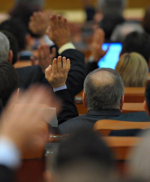 Votul pentru bugetul pe 2009 s-a efectuat prin ridicarea mâinii. Foto: MEDIAFAX