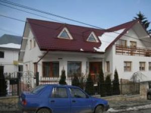 Singura casă proiectată de maestrul Nicolae Porumbescu se află în Suceava