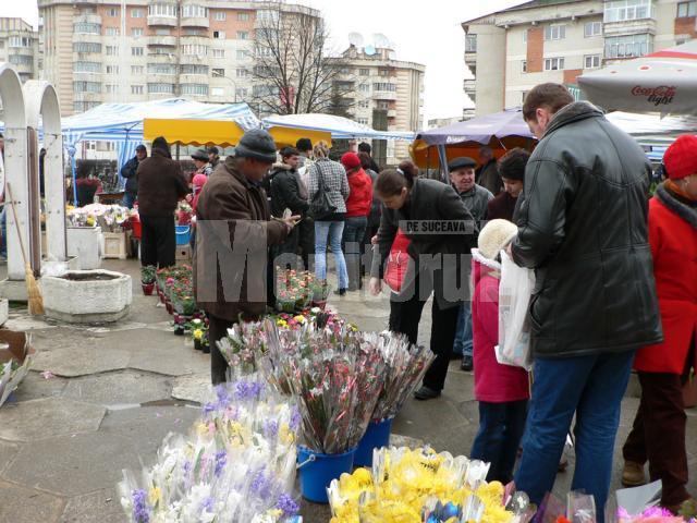 De 8 martie, Fălticeniul a redevenit oraşul florilor