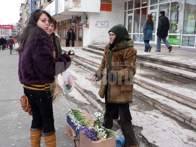 De 8 martie, Fălticeniul a redevenit oraşul florilor