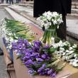 De 8 martie, Fălticeniul a redevenit oraşul florilor