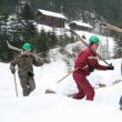 Îmblânzitorii de arbori, în frunte cu Gică Rusu