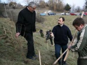Silvicultorii de la conducerea instituţiilor sucevene, Costel Girigan, Sorin Popescu şi Sorin Ciobanu, voluntari la plantarea de arbori