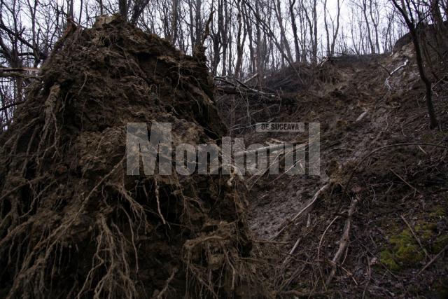 Şipote, pata neagră de pe obrazul unui oraş întreg, fie că vorbim de autorităţi sau de oameni de rând.