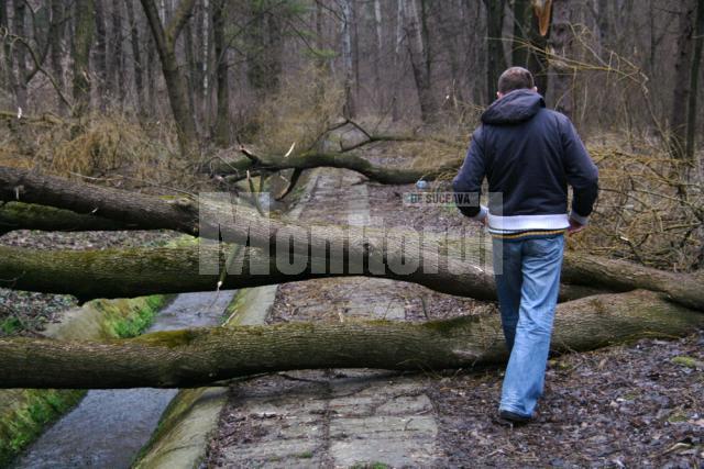 Şipote, pata neagră de pe obrazul unui oraş întreg, fie că vorbim de autorităţi sau de oameni de rând.