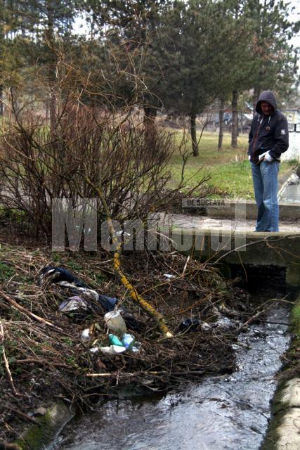 Anul de graţie 2009: Şipote, dezastrul ecologic de sub nasul nostru