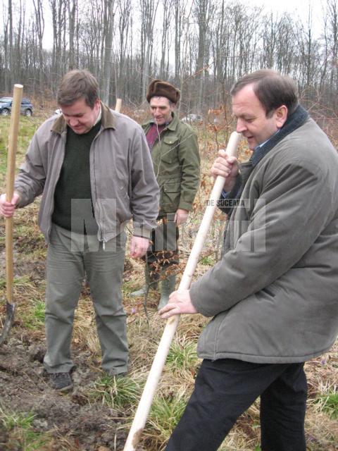 Gheorghe Flutur (dreapta) şi Sorin Ciobanu (stânga), lucrând împreună la plantarea arborilor