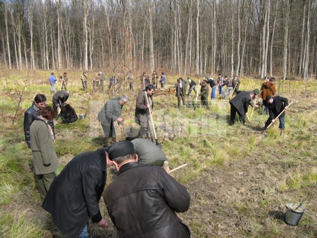 Campanie de plantare: Peste patru milioane de arbori vor fi plantaţi în Luna Pădurii