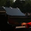 Magia muzicii: Peste 12.000 de spectatori la concertul lui Richard Clayderman