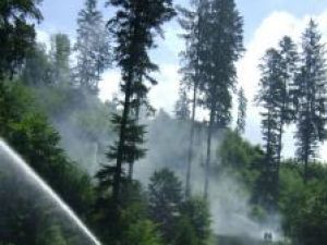 Exerciţiu tactic: Pompieri şi silvicultori, testaţi în simularea unui incendiu la pădure