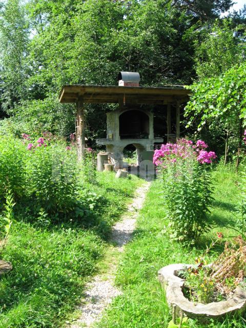 Grătarul din grădina familiei Ignătescu