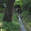 Reţeaua de drenuri din Parcul Şipote este lăsată de Primăria Suceava în voia sorţii de ani de zile