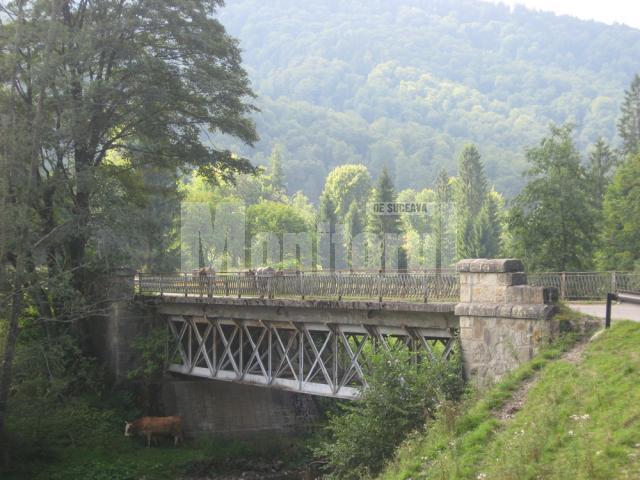 Lecţie: Cele mai tari poduri din judeţ, construite de italieni la Mălini