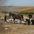 Închisă pe hârtie: Vechea groapă de gunoi a comunei Moara, folosită clandestin