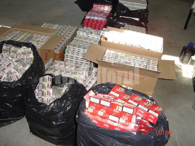 Ţigările de contrabandă, confiscate