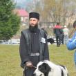 Expoziţie canină: Regalul Ciobănescul de Bucovina, la Vatra Dornei