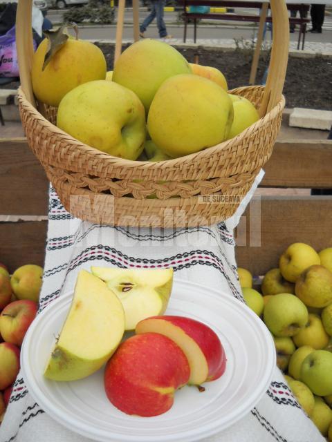 Producţia record de mere de la Fălticeni nu are piaţă de desfacere