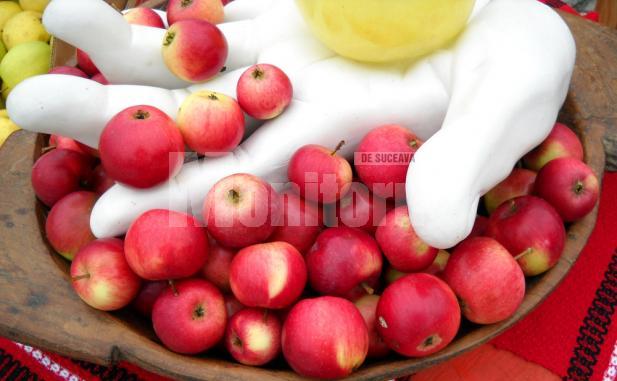 Producţia record de mere de la Fălticeni nu are piaţă de desfacere