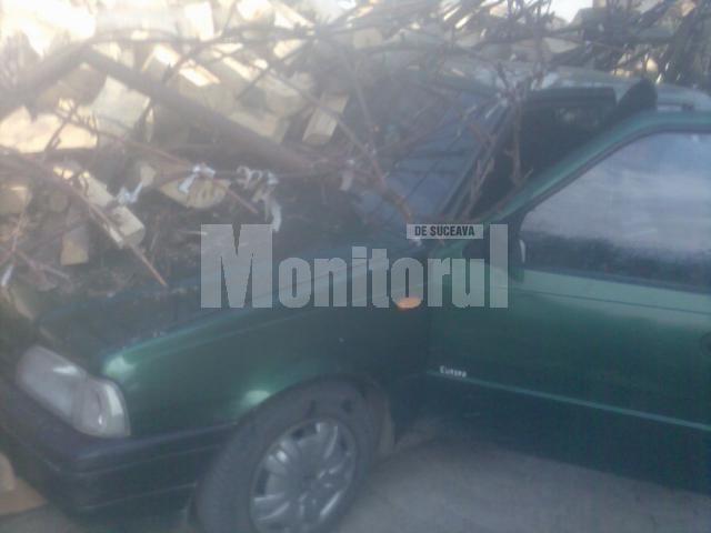Stiva de lemne s-a prăbuşit peste maşinile din curtea vecinului lui Mircea Grosaru