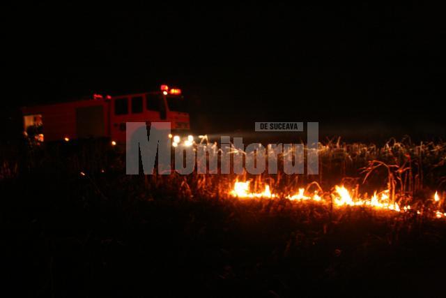 Aseară: Incendiu de proporţii pe dealul Tătăraşi
