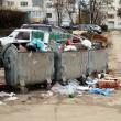 Dezolant: Mormane de gunoaie, revărsate din containerele din Suceava