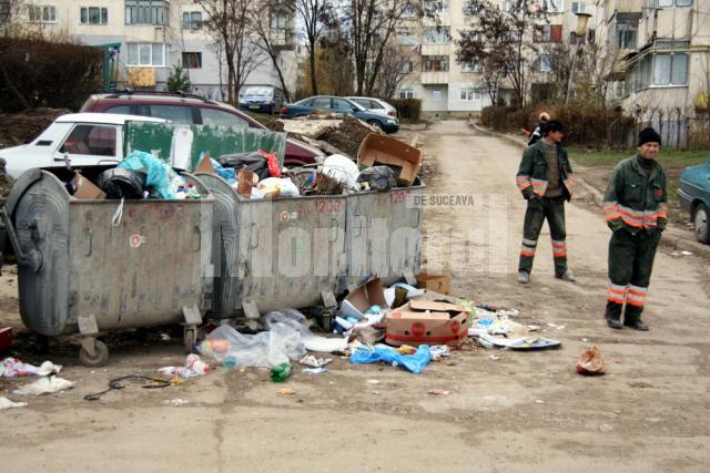 Dezolant: Mormane de gunoaie, revărsate din containerele din Suceava