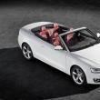 Audi A5 Cabrio 2010