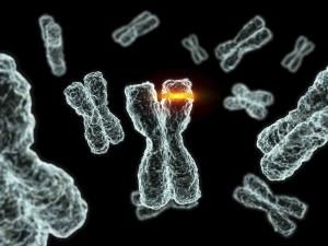 Mutaţie genetică asociată cu o formă agresivă de cancer de prostată