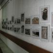 Imagine din expoziţia documentară Casa bucovineană