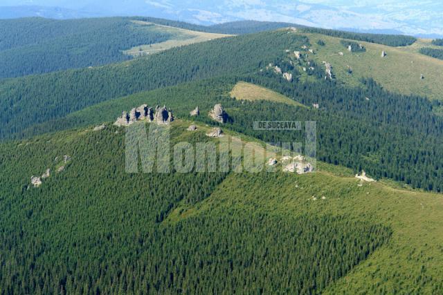 12 apostoli. Foto: Puiu Zaharia