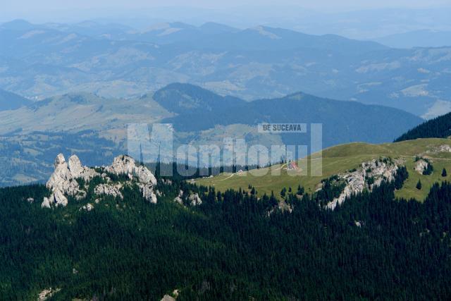 Raraul din zbor. Foto: Puiu Zaharia