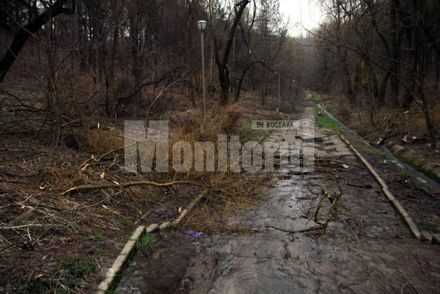 Atenţie: PD-L se concentrează pe Parcul Şipote, să-l dea la primărie