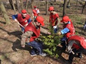 250 de persoane au participat la plantarea a peste 800 de arbori în parcul Şipote