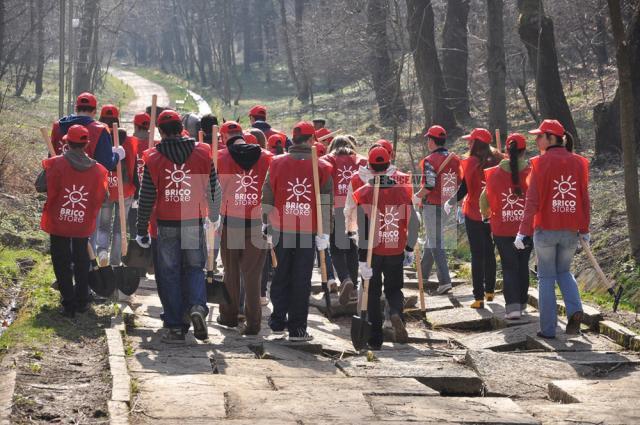 În „Luna Pădurii”: “Donează oxigen” - o campanie de împădurire iniţiată de Bricostore şi Direcţia Silvică Suceava